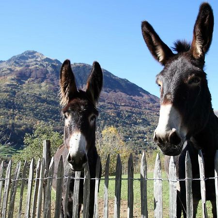 Roulottes Montagne Pyrenees Hotel Luz-Saint-Sauveur Ngoại thất bức ảnh