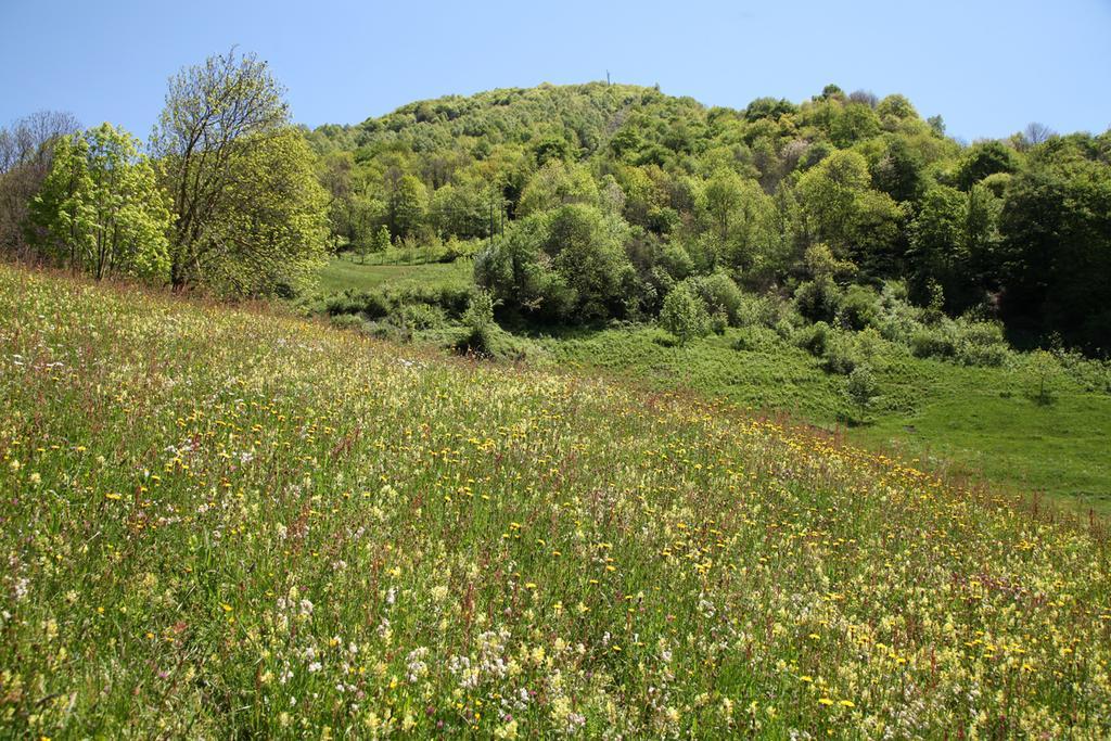 Roulottes Montagne Pyrenees Hotel Luz-Saint-Sauveur Ngoại thất bức ảnh
